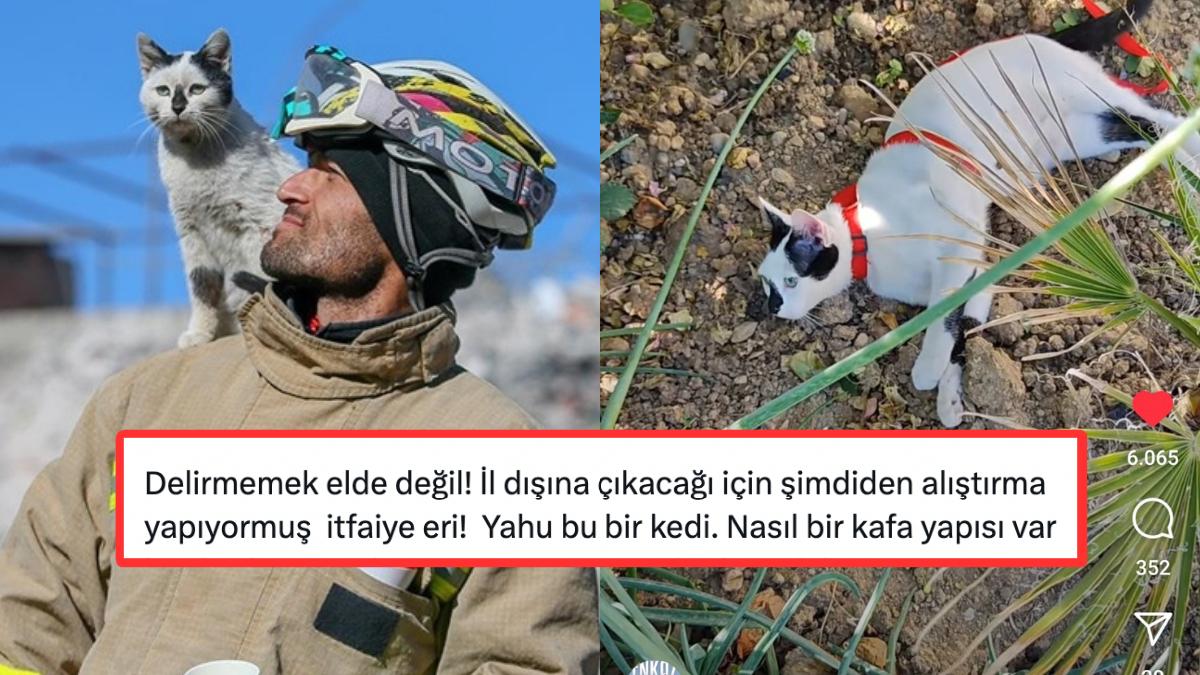 Enkazdan Kurtardığı Kediyi Ağaca Bağlayan İtfaiye Eri Ali Çakas Tartışma Yarattı! Enkazdan Kurtardığı Kediyi Ağaca Bağlayan İtfaiye Eri Ali Çakas Tartışma Yarattı!
