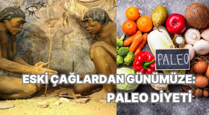 Eski Çağlardan Günümüze: Taş Evresi Diyeti Hakkında Tüm Merak Edilenler