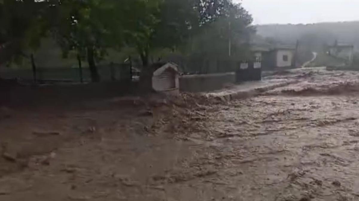 Sokakta Kalmak 2024