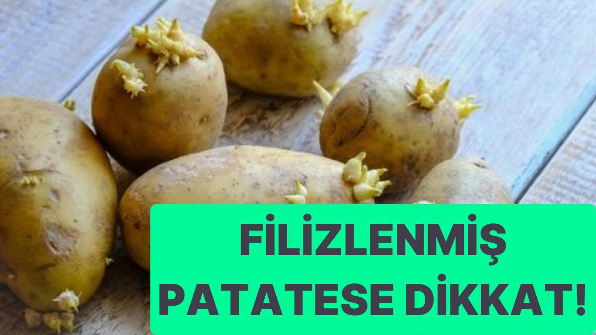 Filizlenmiş Patates Yenir mi? Ziyanları Nelerdir? Filizlenmiş Patates Yenir mi? Ziyanları Nelerdir?