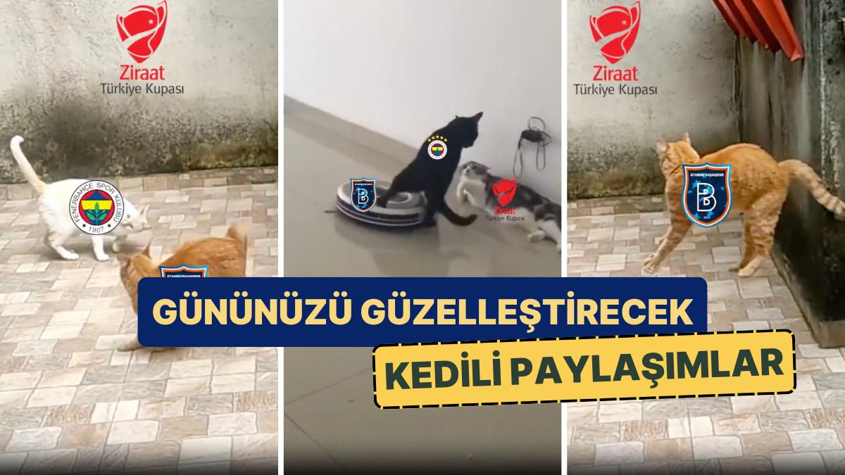 Finalde Karşılaşacak Fenerbahçe ve Başakşehir'in Kedili Paylaşımlarını Görmelisiniz! Finalde Karşılaşacak Fenerbahçe ve Başakşehir'in Kedili Paylaşımlarını Görmelisiniz!
