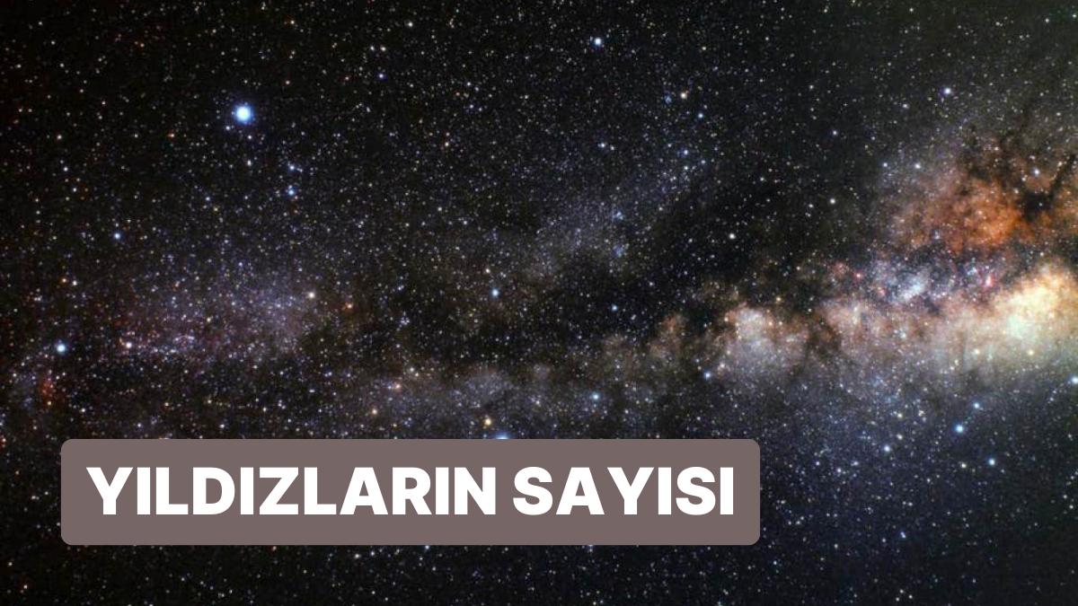 Geceleri Gökyüzünü Bir Tuvale Dönüştüren Yıldızlardan Samanyolu'nda Kaç Tane Var? Geceleri Gökyüzünü Bir Tuvale Dönüştüren Yıldızlardan Samanyolu'nda Kaç Tane Var?