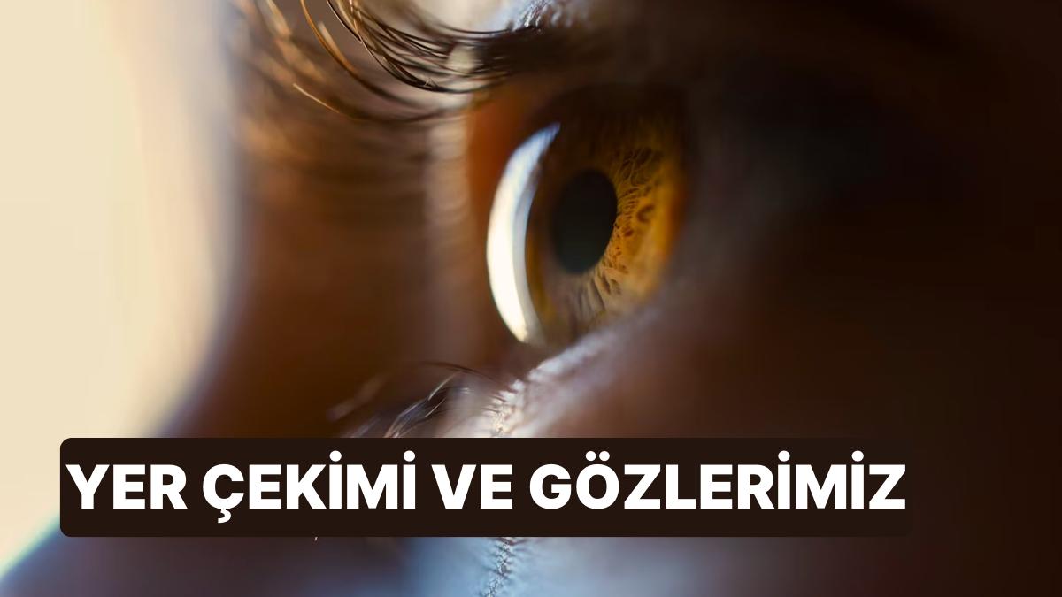 Gözlerimiz Neden Yer Çekiminin Tesiriyle Zıt Dönmez? Gözlerimiz Neden Yer Çekiminin Tesiriyle Zıt Dönmez?