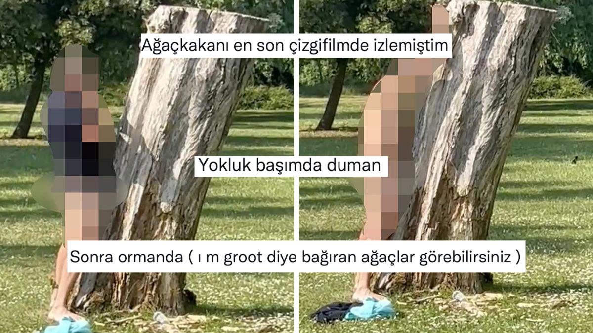 Hangi Akla Hizmet Ağaçla Cinsel Bağa Girmeye Çalıştığı Anlaşılamayan Adam Gündem Oldu! Hangi Akla Hizmet Ağaçla Cinsel Bağa Girmeye Çalıştığı Anlaşılamayan Adam Gündem Oldu!