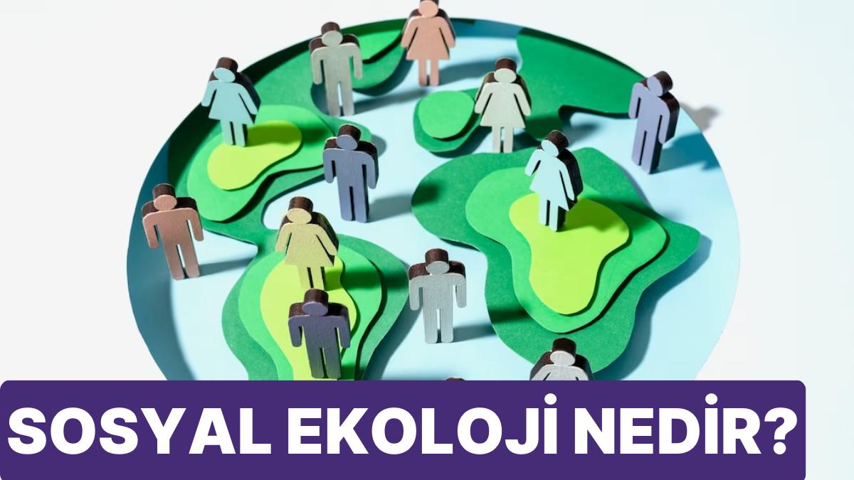 İnsan ve Etraf Ortasındaki Karmaşık İlgiyi İnceleyen Toplumsal Ekoloji Nedir?