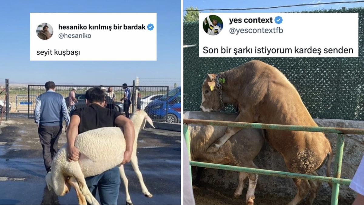 Kızılcık Şerbeti Kurban Özel Kısımdan Koyunu Sırtlayan Ağabeye Kadar Son 24 Saatin Viral Tweetleri Kızılcık Şerbeti Kurban Özel Kısımdan Koyunu Sırtlayan Ağabeye Kadar Son 24 Saatin Viral Tweetleri