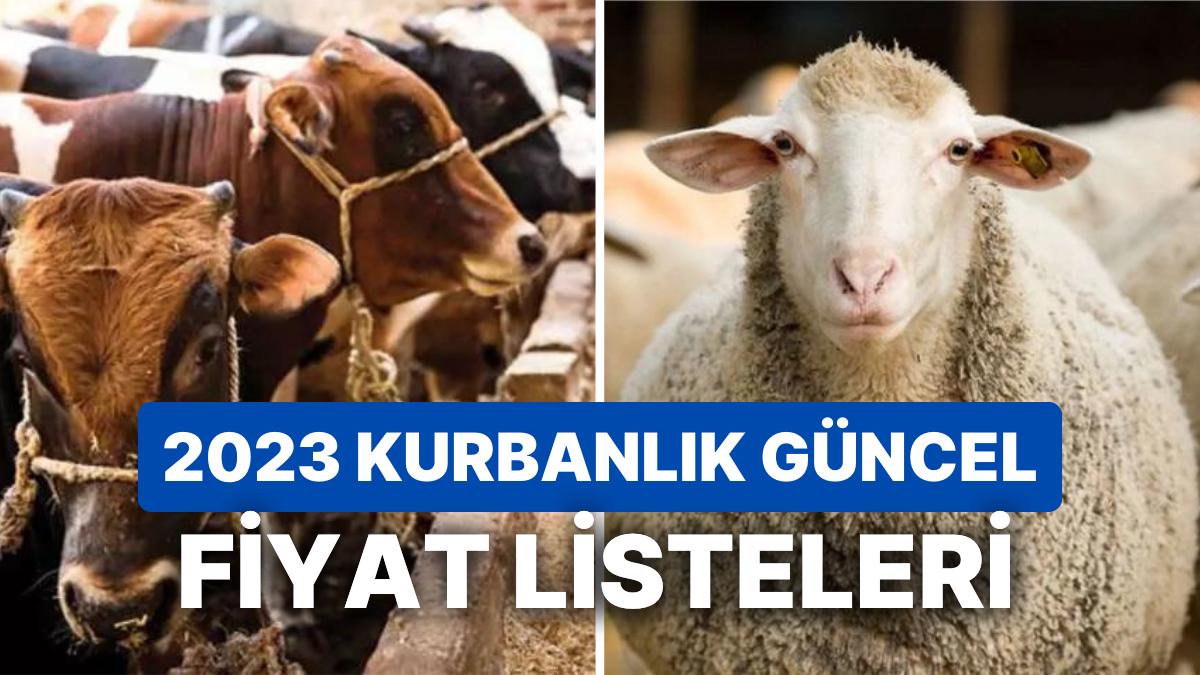 Kurban Fiyatları Listesi 2023: Küçükbaş ve Büyükbaş Kurbanlık Fiyatları Ne Kadar, Kaç TL?