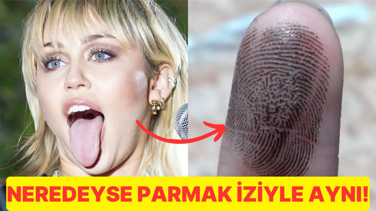 Lisan İzimizin Yapısı Nasıldır ve Parmak İzi ile Benzerlikleriyle Farklılıkları Nelerdir?