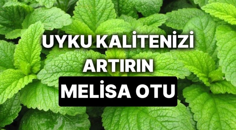 Melisa Otunun Yararları Nelerdir? Anksiyeteye Uygun Gelmesiyle Bilinen Melisa Otu Çayı Nasıl Hazırlanır?