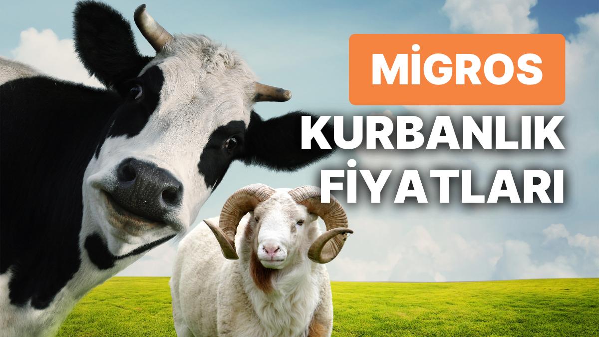 Migros Kurbanlık Fiyatları Ne Kadar? Migros Büyükbaş, Küçükbaş, Bağış Kurbanı Fiyatları ve Taksit Seçenekleri