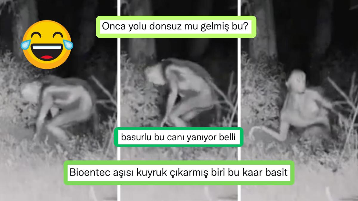 Sonradan Uydurma Olduğu Anlaşılan Uzaylı Manzaralarına Yurdum Beşerinin Verdiği Güldüren Reaksiyonlar Sonradan Uydurma Olduğu Anlaşılan Uzaylı Manzaralarına Yurdum Beşerinin Verdiği Güldüren Reaksiyonlar