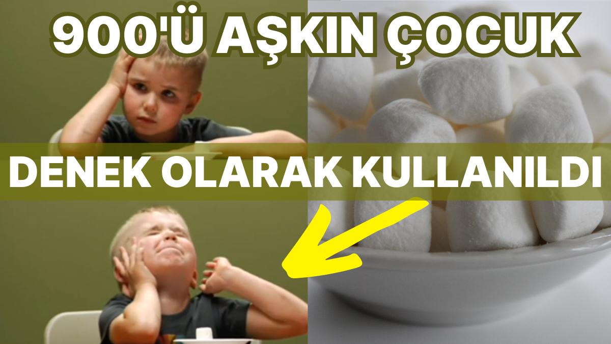 Stanford Marshmallow Deneyi: Öz Kontrolün Hayattaki Muvaffakiyet Üzerindeki Tesiri Nedir? Stanford Marshmallow Deneyi: Öz Kontrolün Hayattaki Muvaffakiyet Üzerindeki Tesiri Nedir?