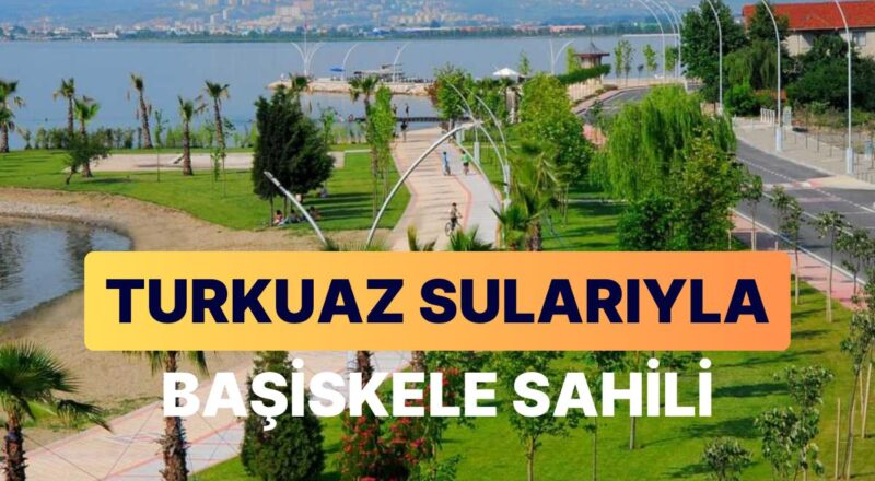 Başiskele Kıyısı Seyahat Rehberi: Kocaeli'nin Vazgeçilmez Noktasında Huzur Veren Tabiat Görüntüsü