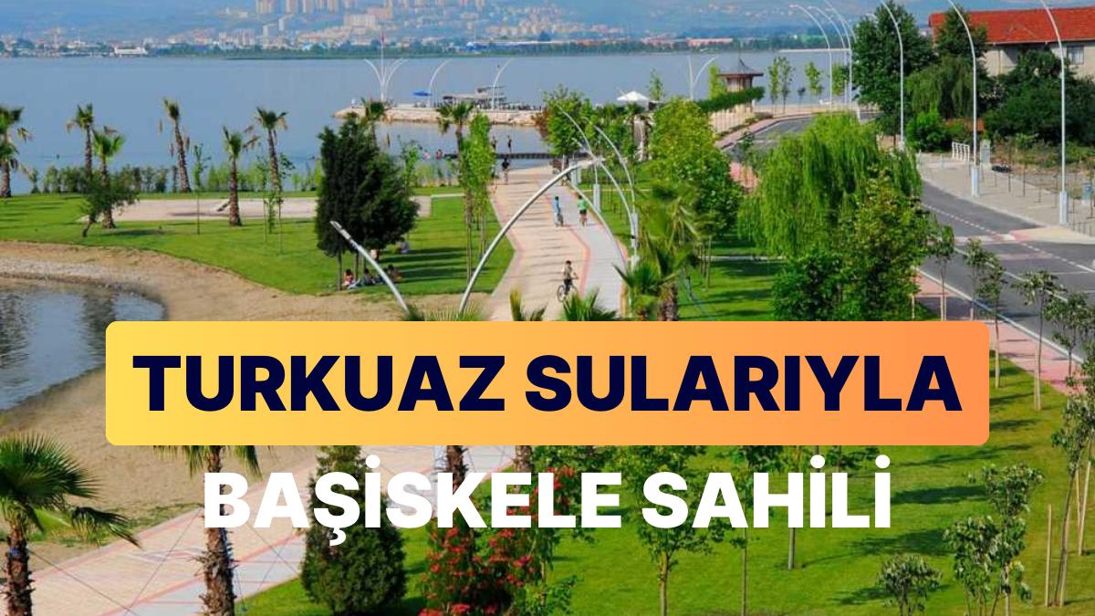 Başiskele Kıyısı Seyahat Rehberi: Kocaeli'nin Vazgeçilmez Noktasında Huzur Veren Tabiat Görüntüsü Başiskele Kıyısı Seyahat Rehberi: Kocaeli'nin Vazgeçilmez Noktasında Huzur Veren Tabiat Görüntüsü