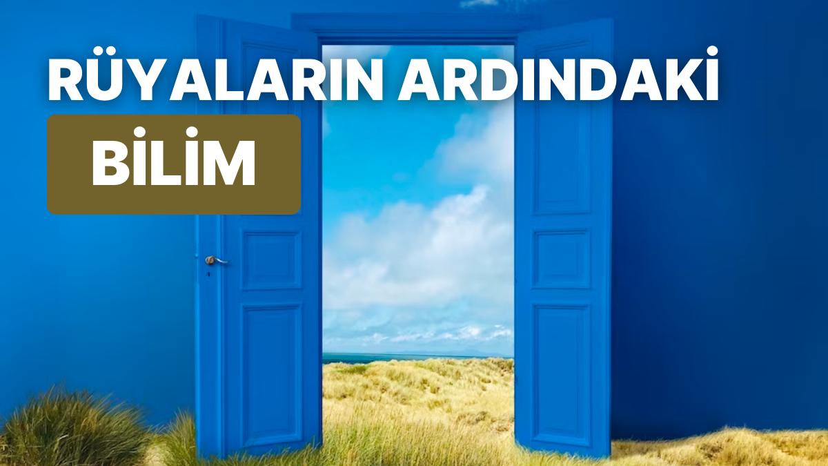 Düşlerin Şifresini Çözmek: Gece Gördüklerimiz Hakkında Bilim Ne Diyor? Düşlerin Şifresini Çözmek: Gece Gördüklerimiz Hakkında Bilim Ne Diyor?