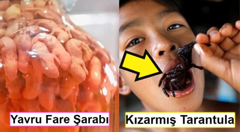 Gördükten Sonra Yatıp Kalkıp Türk Mutfağına Şükredeceğiniz İştahımızı Kesmeye Ant İçmiş İğrenç Yemekler