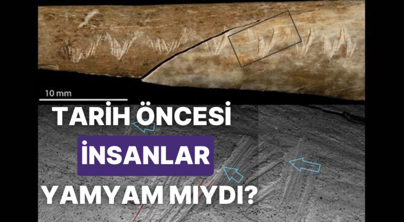 Tarih Öncesi Kaval Kemiğindeki Kesiklerin İnsan Yamyamlığının En Eski Delili Olabilir mi?