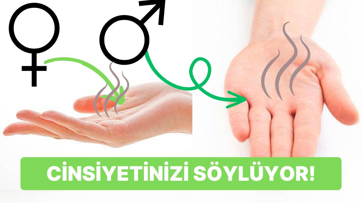 Bilim İnsanlarından Yeni Keşif: El Kokusuyla Cinsiyet Tespit Etmek Mümkün