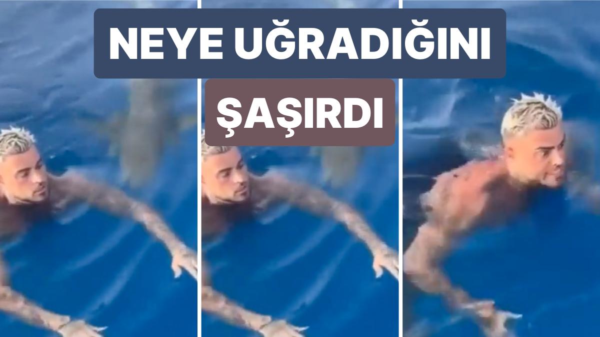 Denizde Yüzerken Bir Anda Altından Köpekbalığı Geçen Adamın Yaşadığı Endişe Yüzüne Yansıdı