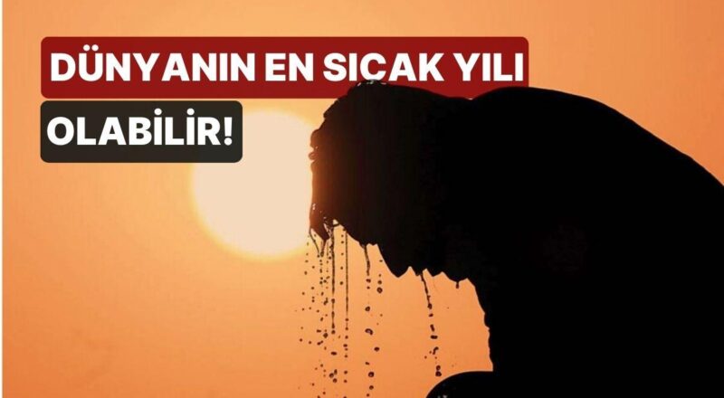 Dünyanın En Sıcak Yılı Olabilir! 'Türkiye'de Hava Sıcaklığı 50 Derecenin Üstünü Görecek'