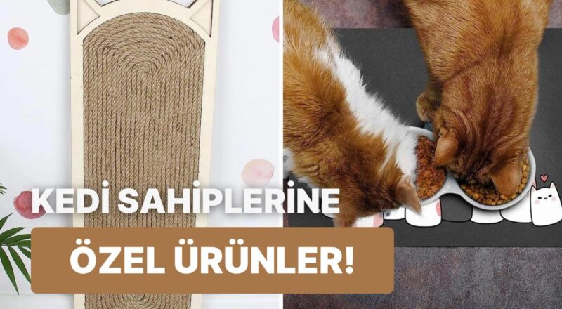 Tüm Kedi Sahiplerine Davet: İşte Etkileyici Sonuçlara Sahip 18 Eser