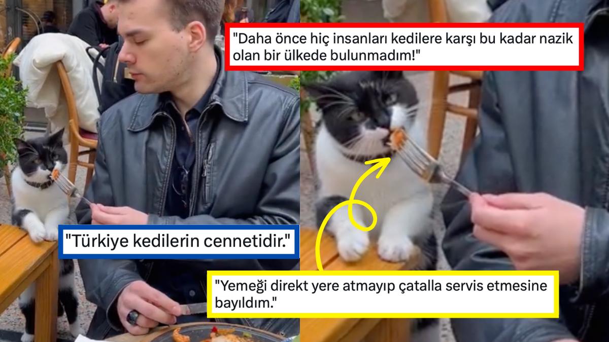Yemeğine Ortak Olmaya Çalışan Dünyalar Tatlısı Kedinin Görüntüsünü Paylaşan Kullanıcı Herkese Tebessüm Ettirdi Yemeğine Ortak Olmaya Çalışan Dünyalar Tatlısı Kedinin Görüntüsünü Paylaşan Kullanıcı Herkese Tebessüm Ettirdi