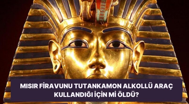 Yeni Tartışmalı Teori: Tutankamon'un Vefatı, Alkollü Araç Kullanmasıyla İlgili Olabilir
