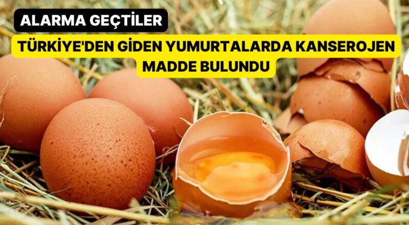 Alarma Geçtiler: Türkiye'den Giden Yumurtalarda Kanserojen Husus Bulundu