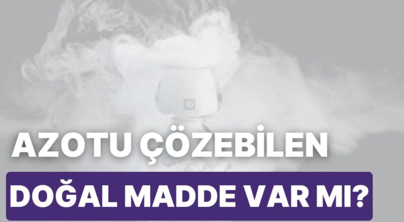 Azotu Çözebilen Rastgele Bir Doğal Süreç Var mı?