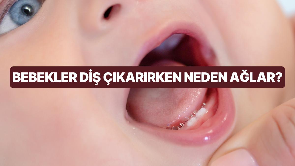 Bebekler Diş Çıkartma Sürecinde Neden Ağlar? Bebeklerde Diş Çıkarmaya Ne Yeterli Gelir?