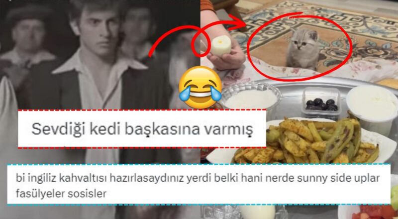 "Cins Kedi Ne Yer?" Sorusuna Verdikleri Baş Açan Karşılıklarla Kahkaha Krizine Sokan Kullanıcılar!