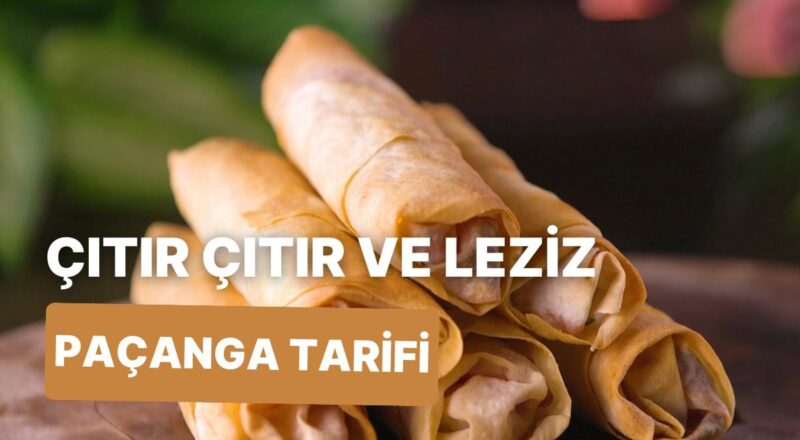 Her Isırıkta Kendisine Daha da Aşık Eden Paçanga Böreği Nasıl Yapılır?