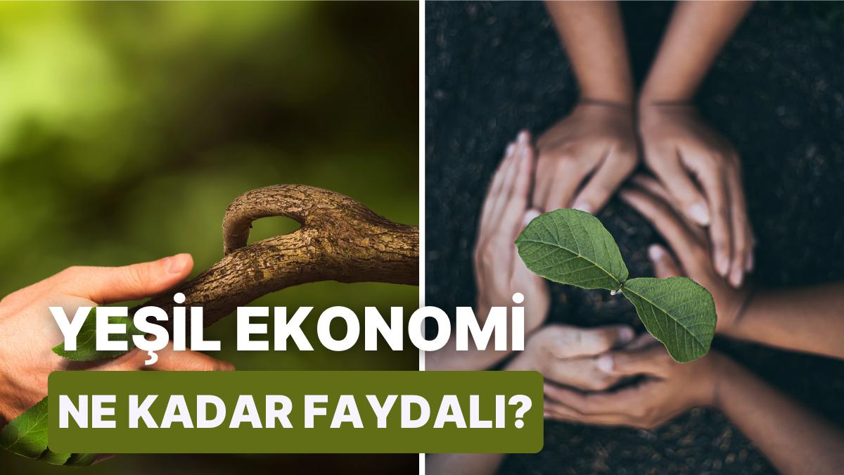 Norveç, İsveç, Hollanda Üzere Ülkelerin Uyguladığı Yeşil İktisat Modeli Hakkında 13 Bilgi Norveç, İsveç, Hollanda Üzere Ülkelerin Uyguladığı Yeşil İktisat Modeli Hakkında 13 Bilgi