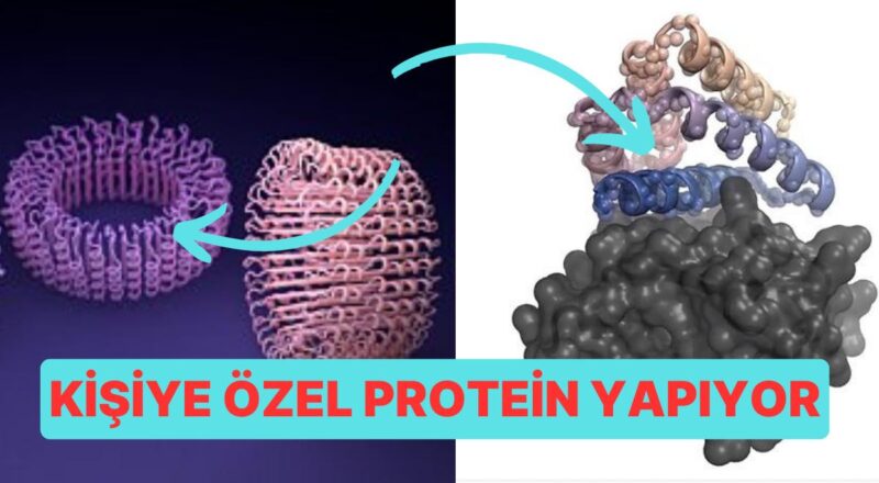 Bilim Dünyasında Büyük Bir Adım: Bireye Özel İlaçlar Tasarlamak Artık Mümkün