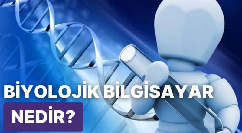 Biyolojik Bilgisayar Nedir? Nasıl Çalışır? Avantajları ve Dezavantajları Nelerdir?