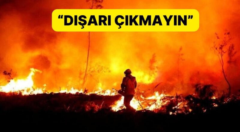 DSÖ'den Korkutan Açıklama: Orman Yangınları Can Aldı