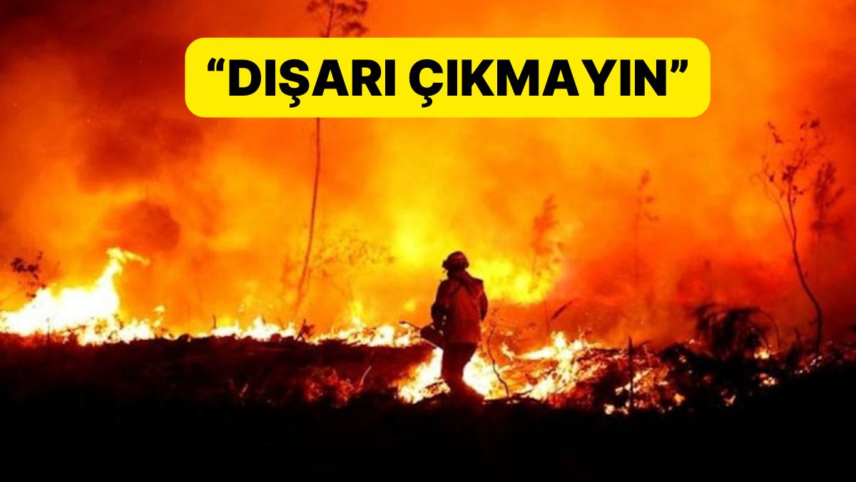 DSÖ'den Korkutan Açıklama: Orman Yangınları Can Aldı DSÖ'den Korkutan Açıklama: Orman Yangınları Can Aldı
