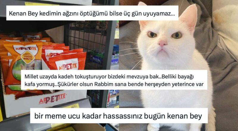 Sıkıntısını Sevelim: Kedi Köpek Mamasına Neden "Yal" Denilmiyor Diye Dertlenen Bireye Gelen Yorumlar
