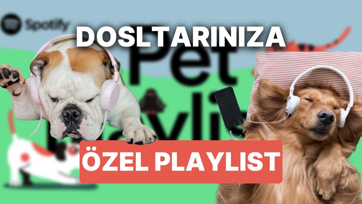 Spotify Kapsul Nasıl Yapılır Spotify Kapsul Nasıl Yapılır