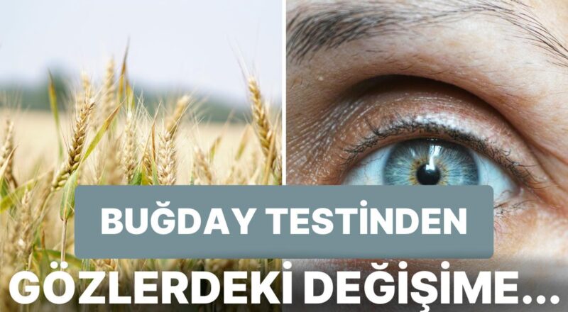 Tarihte Hamileliği Öğrenmek İçin Kullanılan Birbirinden Enteresan Doğal Yollar