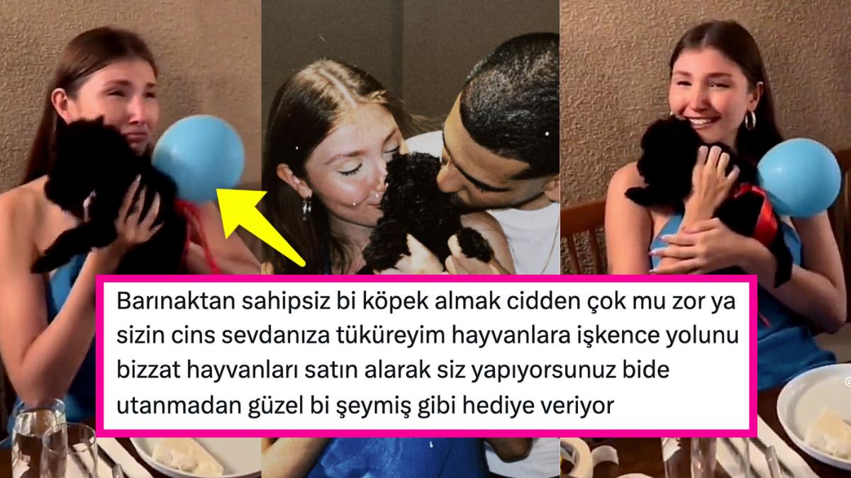 Toplumsal Medya Fenomeni İlayda Akdoğan'a Doğum Gününde Kurdele Bağlanmış Köpek İkram Edilmesi Reaksiyon Çekti!