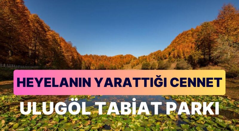Ulugöl Tabiat Parkı: Ordu'nun Gizli Hazinesi Sessizliğin ve Huzurun En Düzgün Adresi