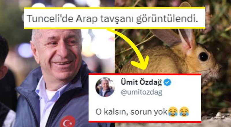 Ümit Özdağ, Tunceli'de Görüntülenen Arap Tavşanı Hakkındaki Yorumu ile Güldürdü