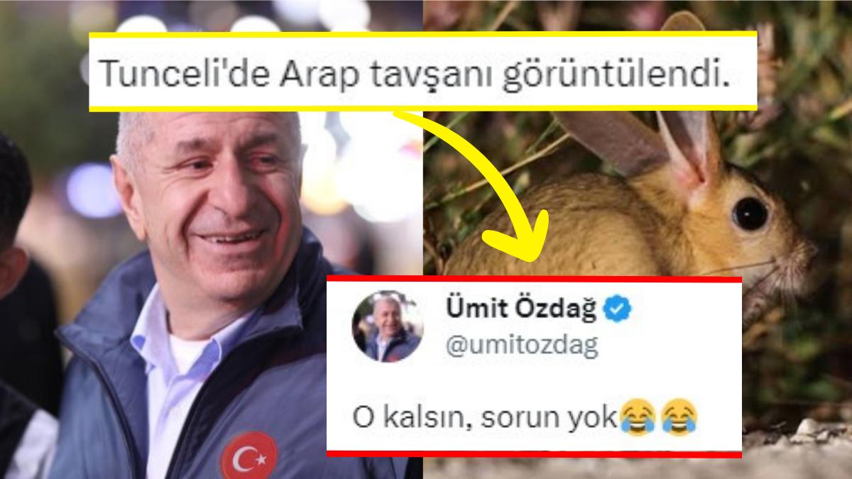 Ümit Özdağ, Tunceli'de Görüntülenen Arap Tavşanı Hakkındaki Yorumu ile Güldürdü Ümit Özdağ, Tunceli'de Görüntülenen Arap Tavşanı Hakkındaki Yorumu ile Güldürdü