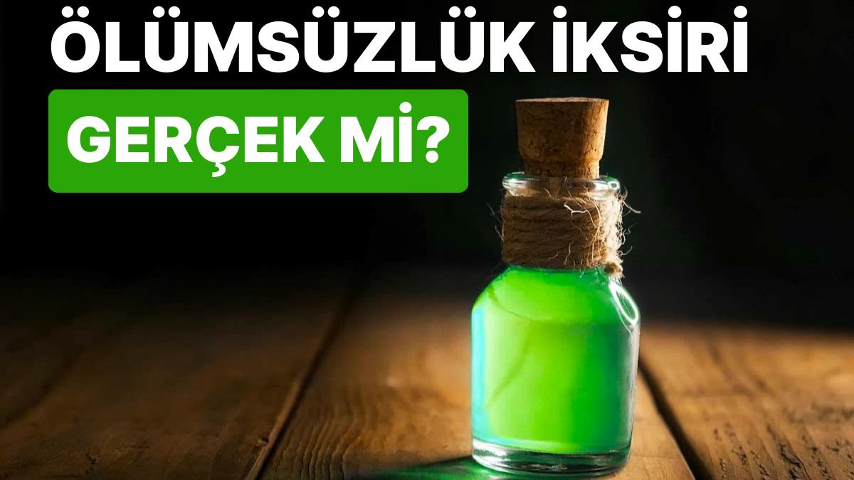 Line'de Arşiv Nerede?