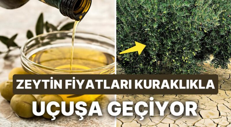 Zeytinyağı Üste Çıkıyor: Zeytin ve Zeytinyağı Fiyatları Uçuşa Geçiyor!