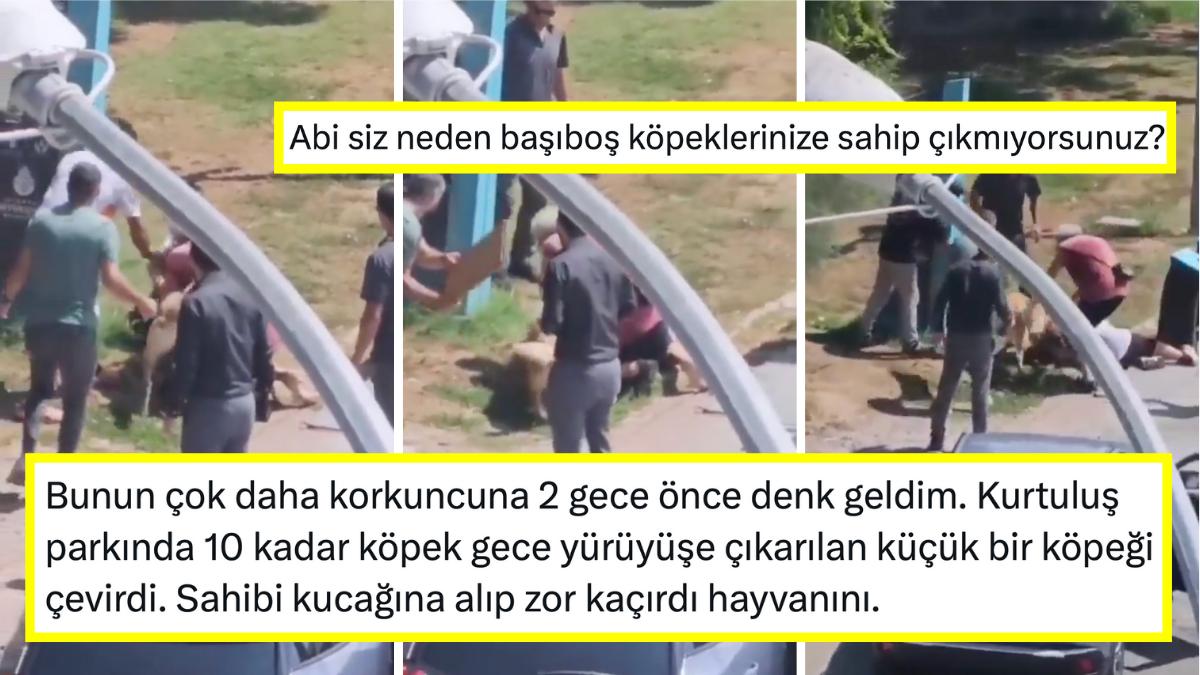 Başıboş Köpeklere Reaksiyon Büyüdü! Moda Kıyısındaki Tasmasız Köpeğin Saldırısı Panik Yarattı Başıboş Köpeklere Reaksiyon Büyüdü! Moda Kıyısındaki Tasmasız Köpeğin Saldırısı Panik Yarattı