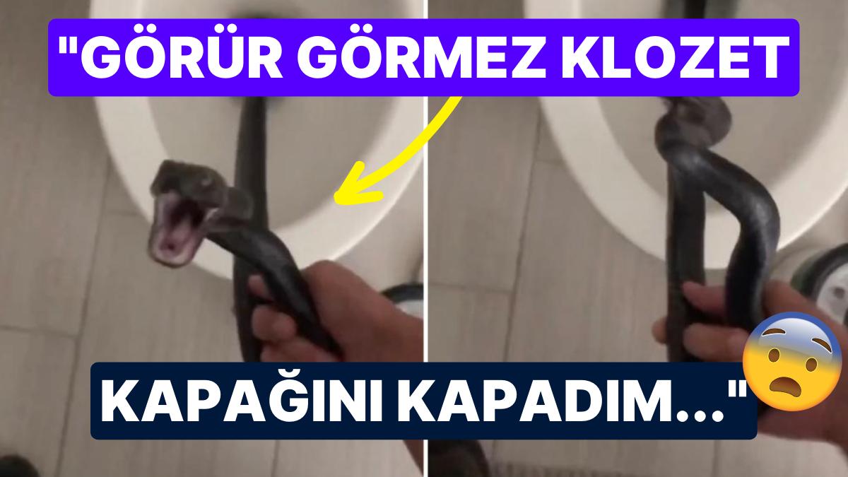 Kabusları Gerçek Oldu: Klozette Kocaman Bir Yılan ile Karşılaşan Bayanın Dehşet Dolu Anları