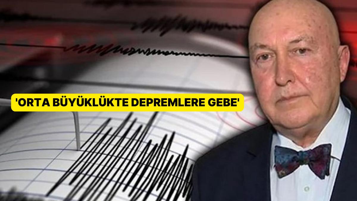 Prof. Dr. Ahmet Ercan, Bingöl'ü İşaret Etti: 'Orta Büyüklükte Zelzelelere Gebe'